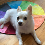 Load image into Gallery viewer, Chakra Wheel 30” : Rainbow Wolf
