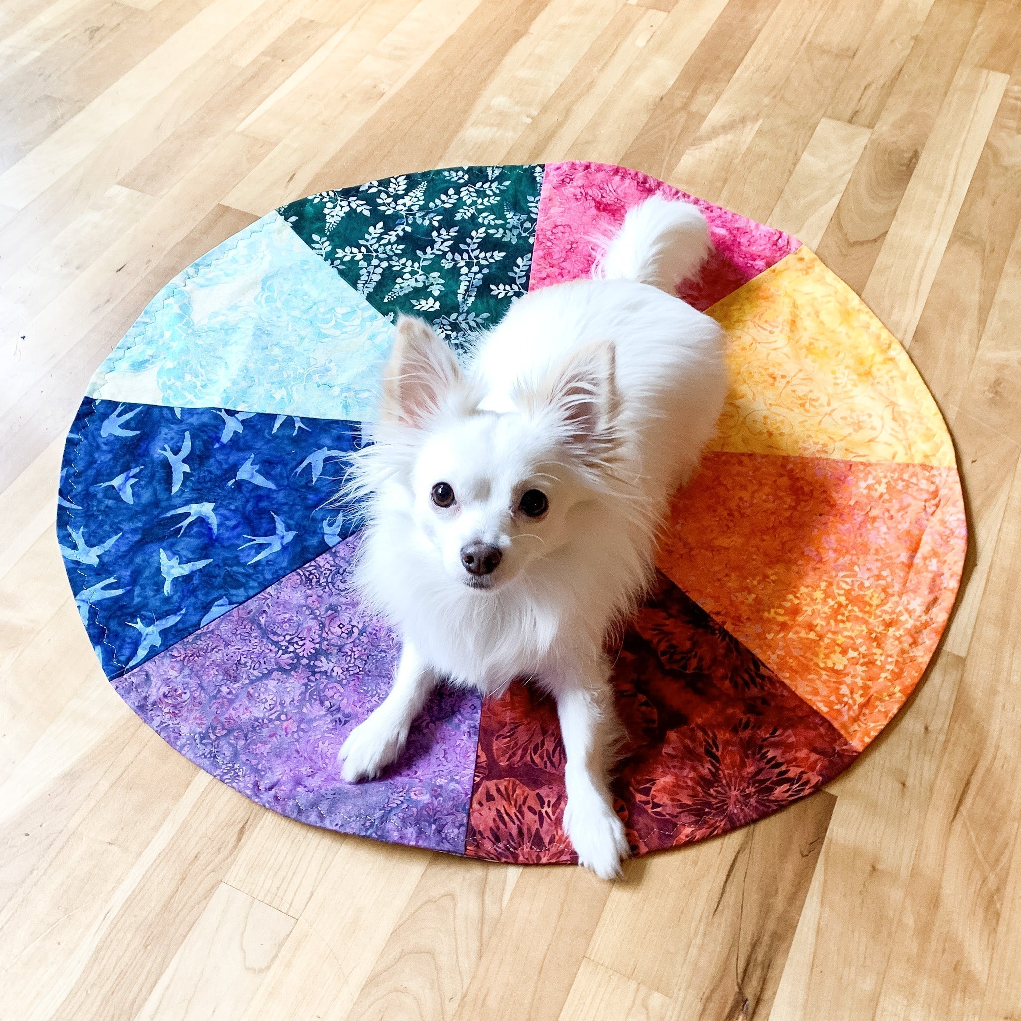 Chakra Wheel 30” : Rainbow Wolf